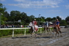 Immagine <b>REG_9276</b>